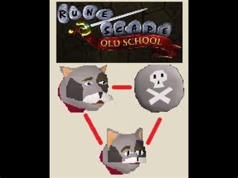 osrs trade cat for death runes.